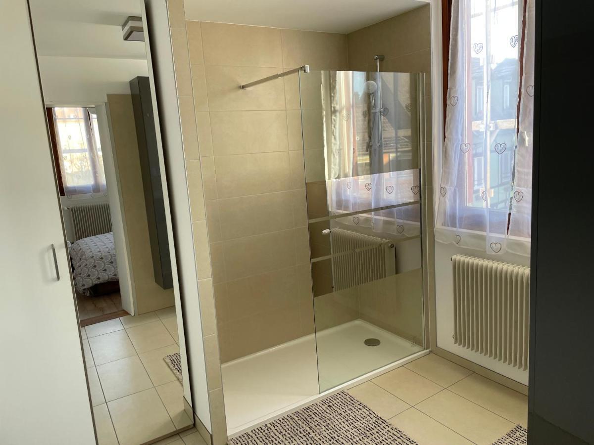 Appartement Le Fil D'Or Кольмар Экстерьер фото